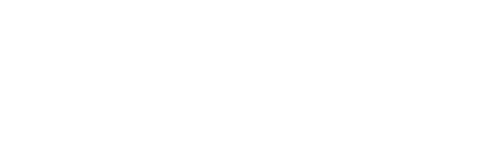 logo-investor-raiz-white