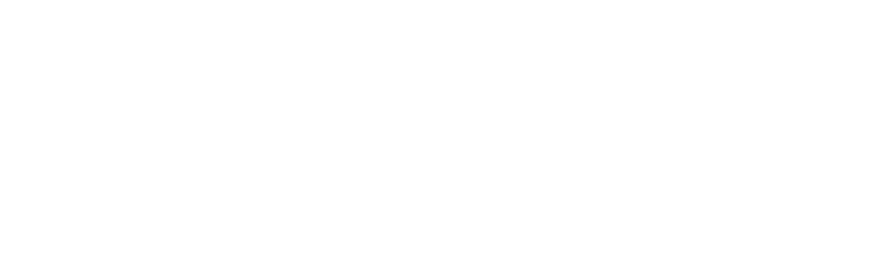 logo-investor-raiz-white